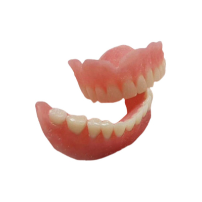 Modelos dentais de Digitas do laboratório dental de borracha de superfície liso da dentadura do OEM