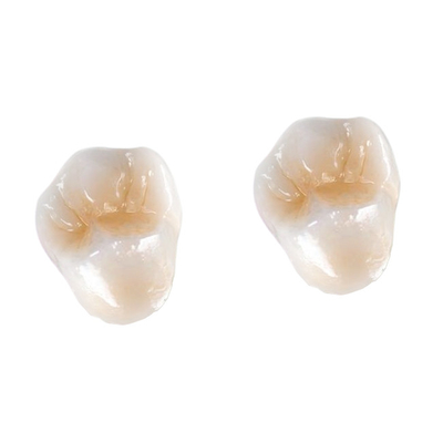 Melhore a eficiência do seu laboratório com um laboratório de próteses dentárias de alta durabilidade
