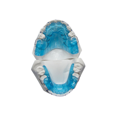 O ISO dental de FDA do CE certificou bens fáceis da manutenção da tecnologia ortodôntica