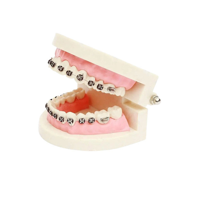 Resistência dental bom Biocompatibility do ácido e do alcaloide da coroa da porcelana