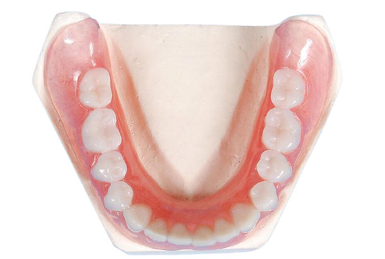 Estábulo forte da cor da resistência de desgaste da coroa do dente da porcelana de alta qualidade