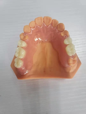 3D imprimiu dentaduras para os laboratórios dentais baseados em dados de Digitas