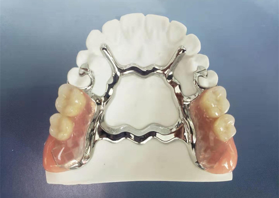 Natrural protege 3D que imprime dentadura removível fixa para o dentista Study