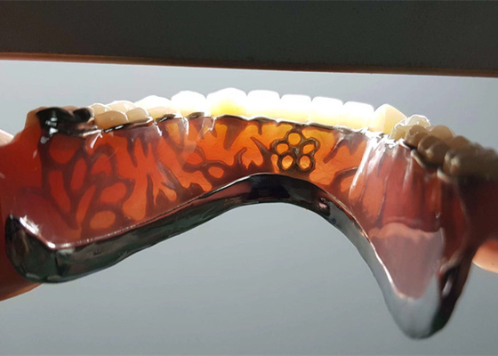 Coroa dental removível do OEM da segurança da alta intensidade para o dentista Study