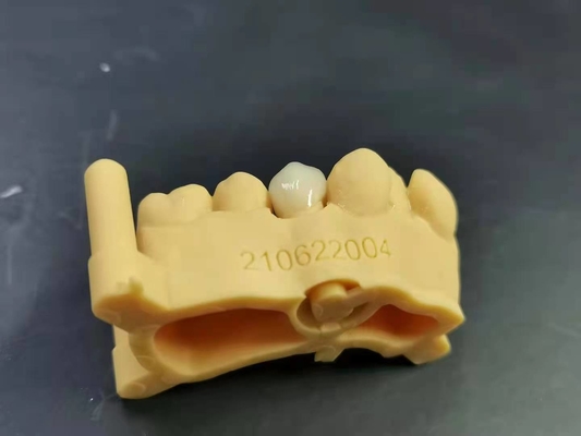 OEM 3D que imprime o projeto dental de Digitas do laboratório da dentadura acrílica flexível