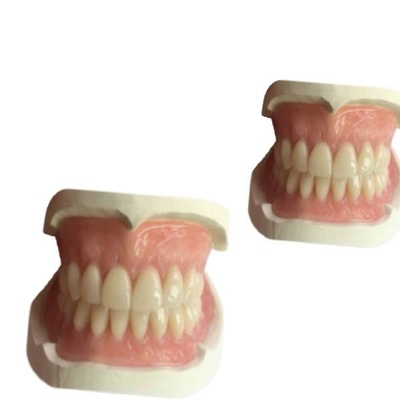 O laboratório dental CAM 3D de borracha da dentadura do CAD imprimiu a máscara de Natrural da coroa do dente