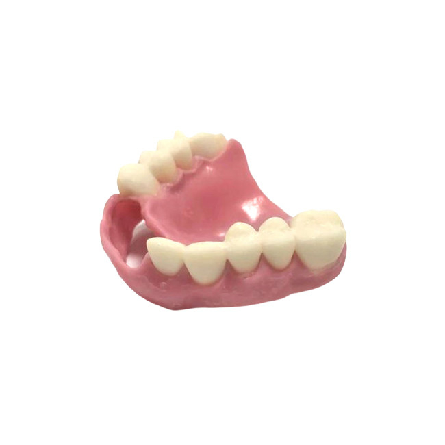 CAD CAM 3D que imprime da dentadura natural da cor das dentaduras o laboratório dental