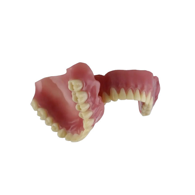 Estábulo seguro e bonito da aparência realística da coroa dental da porcelana da cor